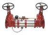 Stainless Steel Reduced Pressure Detector Assemblies - 0206663 - Watts