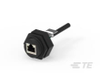 RJ45 Connectors - 1-1546411-1 - TE Connectivity