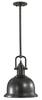 Pendant Light Fixture - P1147DBZ - Generation Brands