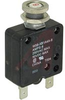 Circuit Breaker;Therm;Push;Cur-Rtg 8A;Panel;1 Pole;Vol-Rtg 250/50VAC/VDC - 70199440 - Allied Electronics, Inc.
