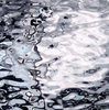 SilverCoat, 