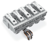 Field-wiring terminal block - 294-5235 - WAGO