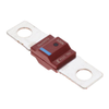 Fuses - 18-4998100.M-M6-ND - DigiKey