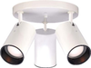 76-416 Semi-Flush Mts.-Spot Lights - 693663 - Capital Lighting, Inc.