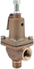 Pressure Relief Valve for Well Systems - N30 - Watts