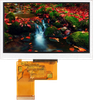 All Shore Industries, Inc. > Liquid Crystal Displays | - ASI-T-430FA6AN/D - All Shore Industries