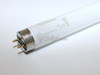 30 Watt, 36 Inch T8 Cool Daylight EUROPEAN Fluorescent Bulb - 631893 40 - bulbs.com