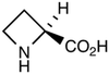 L-Azetidine-2-carboxylic Acid - 6986 - Medical Isotopes, Inc.