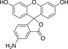 Fluoresceinamine, Isomer 1 - F485300 - Toronto Research Chemicals, Inc.