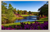All Shore Industries, Inc. > Liquid Crystal Displays | - ASI-T-7001B4MPN/B - All Shore Industries