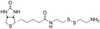 Biotinyl Cystamine HCl - 20828 - Medical Isotopes, Inc.