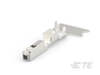 Automotive Terminals - 1719532-6 - TE Connectivity