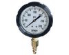 Gauge, 0 To 300 Psig, Glyc-Filled, 1/4