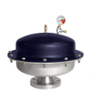 PULSATION DAMPENERS - A4060ND - Blacoh Fluid Control, Inc.