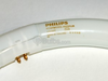 32 Watt, 12" Diameter Cool White T9 Circline Bulb -- 391177 - Image