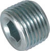 1" NPTM Counter Sunk Plug - 8424251 - Princess Auto Limited