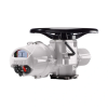 Electric Intelligent Actuators, IQ3H Pro - High Speed -  - Rotork plc
