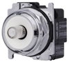 Indicating Light -- 10250T226N