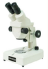 Parco XMZ-800 Series Zoom Stereo Microscopes -- XMZ-832-10L
