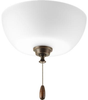 P2649-20 Fans-Light Kits - 696636 - Capital Lighting, Inc.
