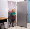 Strip Doors -- Econo Max Strip Doors - Image