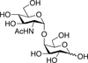 4-O-(2-Acetamido-2-deoxy-α-D-glucopyranosyl)-D-galact.. - A157280 - Toronto Research Chemicals, Inc.