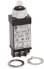18mm Pilot Light 800T PB -- 800T-QST24 - Image