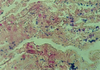 Brown and Brenn Stain for Bacteria - k004 - Poly Scientific