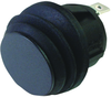 Switch, Rocker, Spst, 16A, 250V, Red; Switch Operation Zf Electronics - 07P8616 - Newark, An Avnet Company