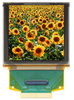Display Modules - LCD, OLED, Graphic - 3444-AOC128128A0-1.50W-ND - DigiKey