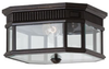 Outdoor Ceiling Light - OL5413GBZ - Generation Brands