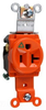 Duplex/Single Receptacle -- IG5361 - Image