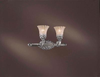 Bathroom Fixtures-Two Lights - 252161 - Light Center (The)