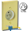 Leviton Single Display Receptacle, Brass Plate - 5250-B - TelephoneStuff.com