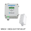 Hydrogen Sulfide (H2S) Fixed Gas Detector w/ Remote Sensor (0-100ppm) - Image