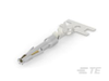Connector Contacts - T2210002010-000 - TE Connectivity