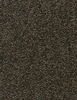 Sanctuary Fabric - 5067/03 - Pollack