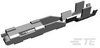 Automotive Terminals - 172772-2 - TE Connectivity
