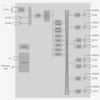 Si5332A-GM1 Low Jitter Clock Generator with 6 Outputs and Integer and Fractional Frequency Synthesis Modes -- Si5332A-GM1 - Image