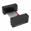 Rectangular Cable Assemblies - FFSD-06-D-02.00-01-N-RN2-ND - DigiKey