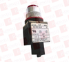 Pilot Light - 365300 - Radwell International