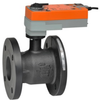 Characterized Control Valves -- B6250S-110+AFRX24 N4 - Image