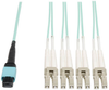 MTP/MPO Fan-Out Cable, MTP/MPO to 8xLC, 40GbE, 40GBASE-SR4, OM3 Plenum-Rated - Aqua, 2M (6-ft.) -- N844-02M-8LC-P - Image