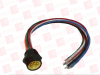 QD Cable/Cord Set - 21338495 - Radwell International