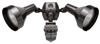 Outdoor Motion Sensor Lampholder Assembly - STL360H - RAB Lighting