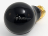 75 Watt, 120 Volt A19 Black Lite Bulb - 106975 - bulbs.com
