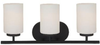 41162-839 Bathroom Fixtures-Three Lights - 361452 - Capital Lighting, Inc.