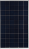 60-Cell Poly Module -- JAP60S01/SC - Image