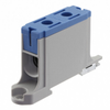 Specialized - WM17296-ND - DigiKey