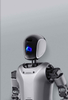 Humanoid Robot - Walker S - UBTECH Robotics, Inc.